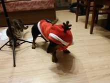 Christmas Dog Clothes Small Dogs Santa Costume for Pug Chihuahua Yorkshire Pet Cat Clothing