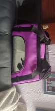 pawstrip 4 Colors Small Dog Carrier Bag Folding Portable Cat Bag Soft Sided Dog Shoulder