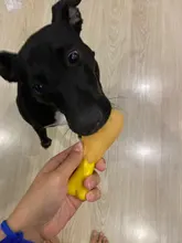 Rubber Squeak Toy for Dog Screaming Chicken Chew Bone Slipper Squeaky Ball Dog Toys Tooth