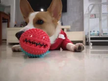 Juguetes para perros, ventosa de silicona, Bola de empuje para morder, limpieza de dientes, cepillo de dientes para comida de alimentación, juguetes para perros, venta al por mayor