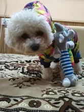 Cat-Toy Pets-Accessories Animals-Supplies Puppy Dog Cleaning Elephan Squeaky Teeth Pig