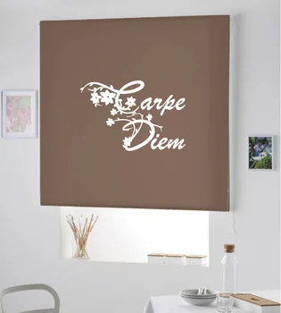 

Blind Iroa rolling youth/Hornbeam Diem! ROLLER BLINDS TRANSLUCENT! (CAFE 100X175)