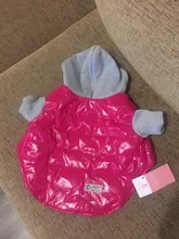 Hoodies Jacket Puppy French-Bulldog Small Dogs Waterproof Dog Chihuahua Winter Autumn