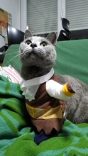 Funny Cat Costumes Pirate Suit Cat Clothes Kitty Kitten Corsair Halloween Costume Puppy