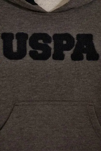 Uss. POLO ASSN. Детская Стандартный Свитшот - Цвет: Gray 1