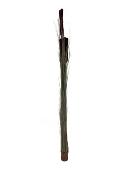 

EUROPALMS Reed grass cattails, dark-brown, artificial, 152cm