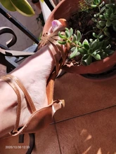 Zapatos de salón de baile latino para mujeres/niñas/señoras, Tango y Salsa, tacón alto, satén, Blanco PU, rojo, profesional, nuevo