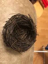 Nest Bird-Cage Prop-Bird Photography-Props Vintage-Decoration Optical-Store Creative