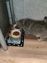 New High-end Pet Bowl Bamboo Shelf Ceramic Feeding and Drinking Bowls for Dogs and Cats