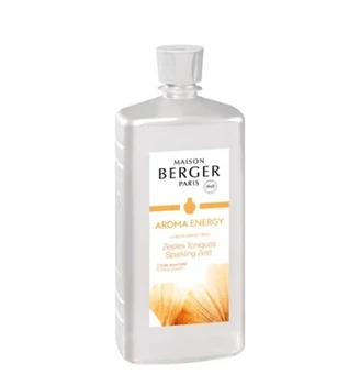 

Charging Lamp catalytic Energy 1000ml