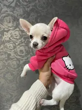 Ropa con estampado de dibujos animados para perro, abrigo cálido para invierno, chaqueta para perros pequeños, Chihuahua, Bulldog Francés, disfraz de peluche, ropa para mascotas