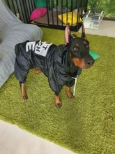 Jacket Rain-Coat Labrador Alaska Puppy-Doberman Waterproof Dogs Large Medium Husky TLC02