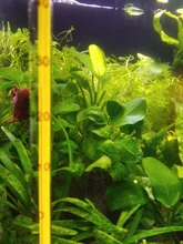 Barra de calefacción de temperatura constante para tanque de peces, calentador de ahorro de energía para acuario, accesorios para Tanque De Agua de peces