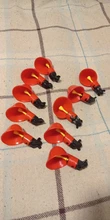 Drinking-Cups Breeding-Equipment Chicken-Fowl Plastic Automatic Quail Poultry-Water 10pcs