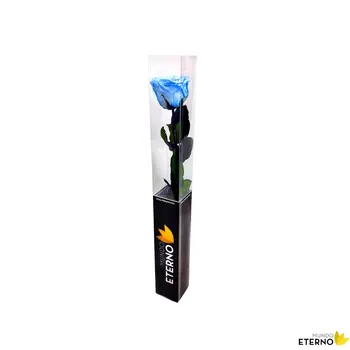 

Mundo eternal Rosa Eterna preserved 55cm light blue