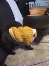 Sweater Puppy-Hoodie Dog-Jumper Winter Knited Small Cat with Cartoon-Design Warm Apparel