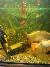 Pump Diffuser Tube Bubble-Bar Oxygen Aquarium Air-Stone Fish-Tank Wall Hydroponic Hose