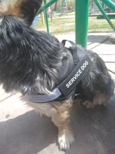 Arnés de nailon ajustable para perro, Collar reflectivo para perro, conjunto de arnés y correa para perros, chaleco de identificación, parche personalizado para caminar