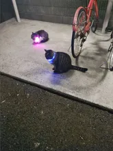 Collares de luz LED para perros de compañía, collares luminosos recargables y parpadeantes para perros de noche, Collar luminoso USB, decoración para el cuello que brillan en la oscuridad