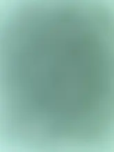 Pinzas para cejas de acero inoxidable, pinzas para extensión de pestañas, herramienta de belleza para eliminación de cejas, 1 unidad