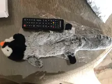 Peluche suave de cebra con sonido de tigre para mascotas, juguete para mascotas