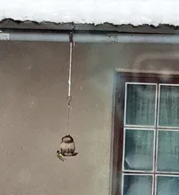 Bird-Feeder Hanging-Bird Garden-Decoration Outdoor-Decor Handmade Vintage Villa Tooarts