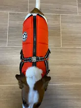 De invierno para mascotas ropa de perro francés mascota Bulldog cálido Chaleco con arnés abrigo perro ropa chaleco pequeño mediano para perros