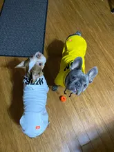 Dog Hoodies Jacket Costume Coat French Bulldog Chihuahua Winter for Pets-Clothing