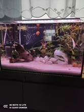 Luces LED para cultivo de plantas, luces para peceras, luces pequeñas con Clip, accesorios de irradiación para acuario, lámpara de decoración