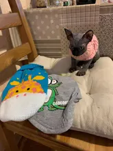 Cute Cartoon Small Dog Sweater Winter Warm Pet Clothes for Chihuahua Yorkies Pullovers