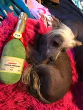 Plush-Dolls Dog-Toys Dog-Accessories Interactive-Toy Dogs Airdrop Puppy Game Chew-Molar