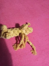 Pawstrip-Cuerda de juguetes para perro, resistente a las mordeduras, limpieza de dientes, juguete para masticar para perros, animales de dibujos animados, tienda de mascotas, 1 ud.