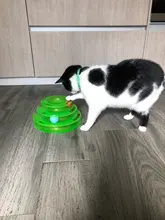 Pet-Cat Toy Tracks-Disc Tumbler Amusement-Plate Kitten-Tower Cat Intelligence Qsezeny