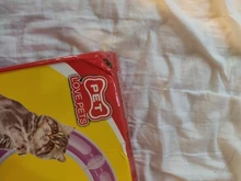 Toy Cat Pet-Toys Pet-Accessories Play Tunnel Interactive-Track-Ball Suction-Cup Round-Shape