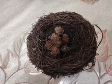 Nest Bird-Cage Prop-Bird Photography-Props Vintage-Decoration Optical-Store Creative