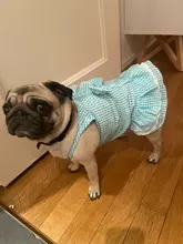 Dress Pet-Clothing Puppy-Cat-Dresses Chihuahua Princess Yorkshire Dogs Small Medium 