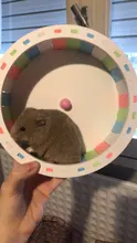 Running-Disc-Toy Hamster Exercise-Wheel Sport Pet 1pcs Totoro Funny