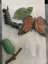 Figuras de acción de simulación de ciclo de vida para niños, juguetes educativos de ciencia para el crecimiento de animales e insectos