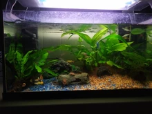 Aquarium Turtle Cave Fish-Hiding Reptile Hide Habitat-Decor Basking Landscaping