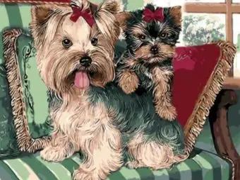 

Painting on the numbers on the cardboard "Yorkshire Terriers" 30x40 color kit ks034