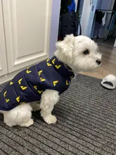 Pet Dog Winter Coat Small Dog Clothes Warm Dog Jacket Puppy Outfit Dog Coat Chihuahua