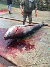 Fishing-Connector Lock Lures Fishhooks Swivel Safety-Pin Fast-Clip Stainless-Steel DONQL