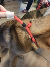 Rope-Chain Pet-Products Dog-Collar Dog-Traction HOOPET Golden Nylon-Material Teddy Comfortable