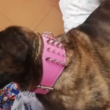 Pet-Dog-Collar Studded Wide-Spikes Doberman Pitbull 3inch for Large Breeds Pitbull/Doberman/M/..