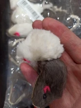 False-Mouse Simulation-Mice Noise-Playing-Toys Rabbit-Fur Kitten For Cats Pet-Supplies