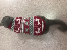 Cute Cat Sweater Costume Winter Warm Pet Clothes Cat Clothing for Cats Katten Kedi Giyim