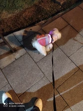 Coat Vest Jacket Puppy Outfit Pet-Dog Yorkie Warm Chihuahua Winter for Windproof Padded