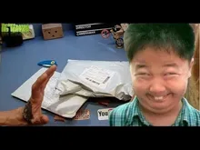 Ropa ajustable para mascotas, delantal de gallina, sillín, soporte de protección de plumas, Protector de pollo, vestido de gallina