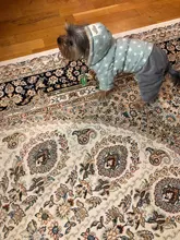 Overalls Fleece Dogs Winter for Star Corduroy Teddy XS M XL