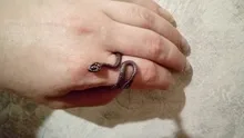 Anillo de serpiente Chapado en plata y Rattlesnake para hombre y mujer, Joyería Moderna de estilo Hip Hop, Punk, para fiesta y motocicleta